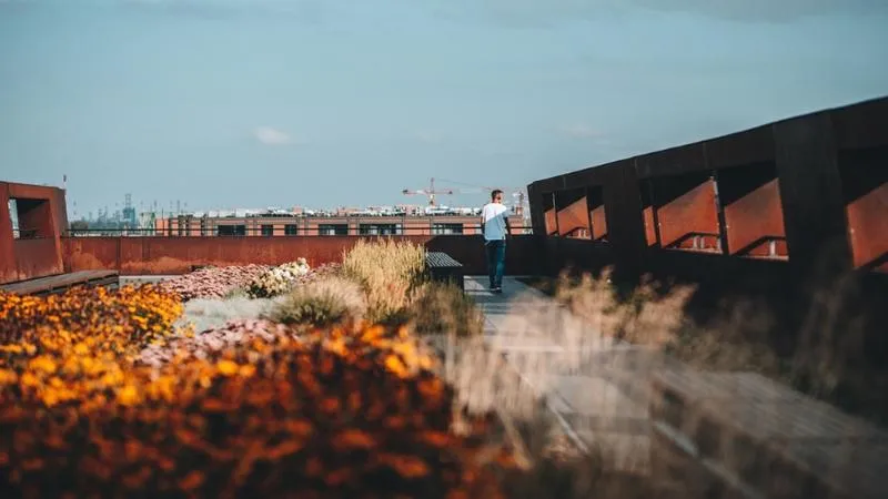 Gdzie wpłacać pieniądze na ECS, aby maksymalnie wykorzystać swoje oszczędności?