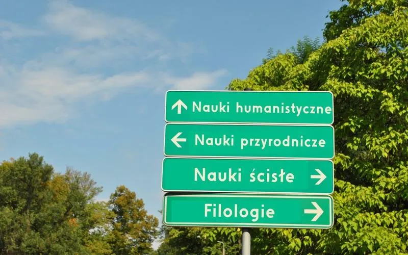 Jakie studia wybierać, aby zapewnić sobie satysfakcjonującą pracę?