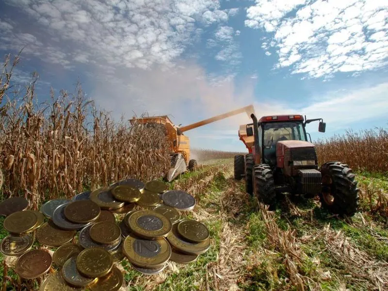 Kontekst ekonomiczny GUS w rolnictwie