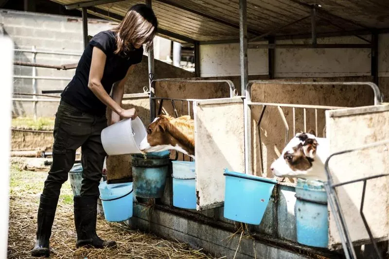 Wynagrodzenia w rolnictwie