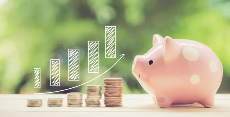 Zarządzanie budżetem domowym